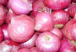 Large Onion